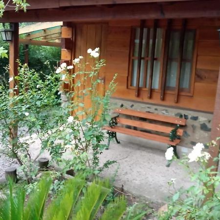 Cabanas Brisas Del Bosque 호텔 Villa Ciudad Parque 외부 사진