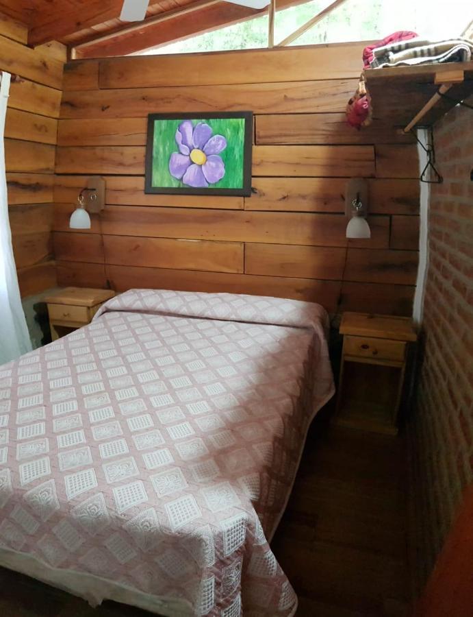 Cabanas Brisas Del Bosque 호텔 Villa Ciudad Parque 외부 사진